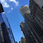 NY101